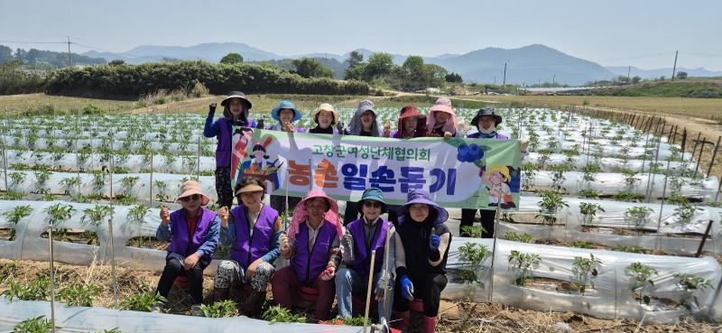 고창군 여성단체협의회, 농번기 맞아 농촌일손돕기