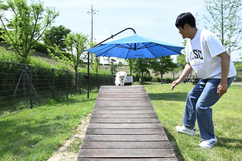 남원시, ‘반려견 놀이터’ 확장 이전 