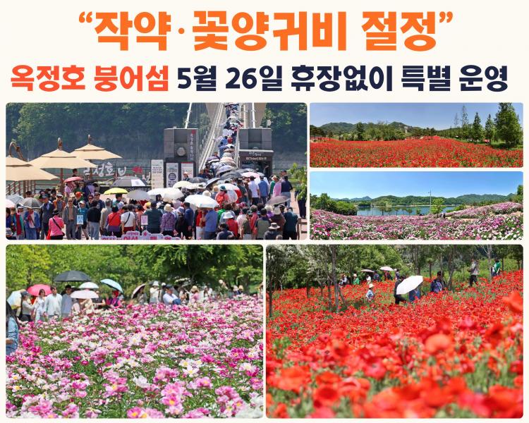 “작약·꽃양귀비 절정”임실 옥정호 붕어섬, 5월26일 휴장없이 특별운영
