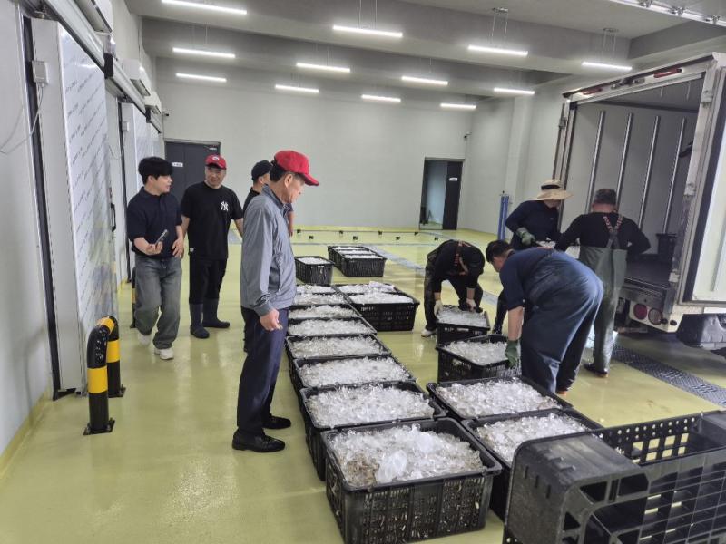 고창군, 구시포항 위판장 첫 위판