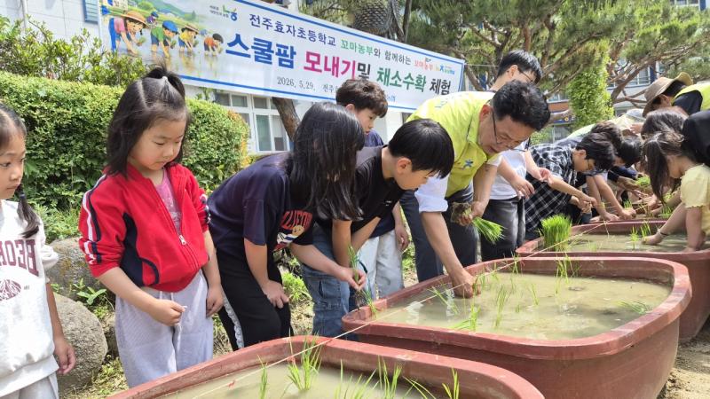 전북농협, 전주 효자초등학교 학생들과 모내기 및 채소 수확체험