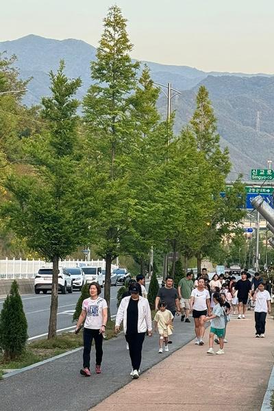 무주군 한마음 치매극복 안심 무주 걷기 행사