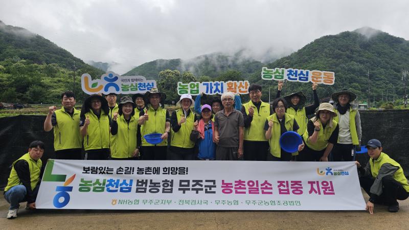 NH농협 무주군지부 복분자 수확 일손돕기