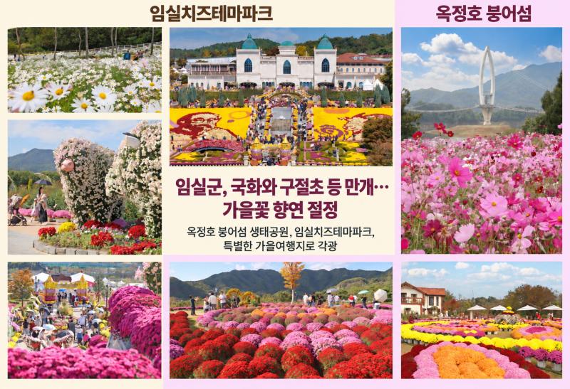 임실 옥정호 붕어섬․치즈테마파크, 가을꽃 물결에 관광객 발길 이어져