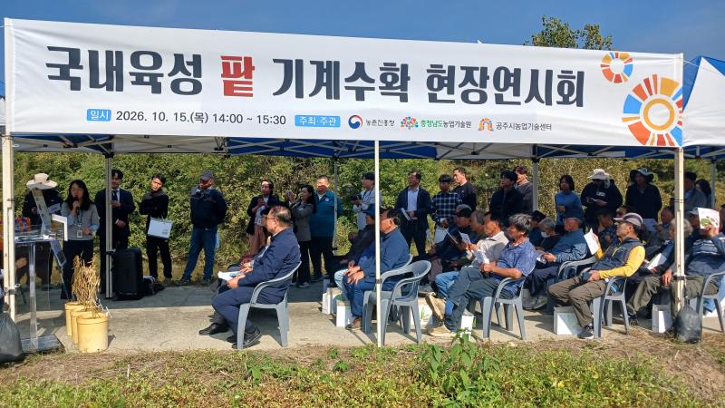 농촌진흥청, 팥 신품종 기계 수확 연시회 열어