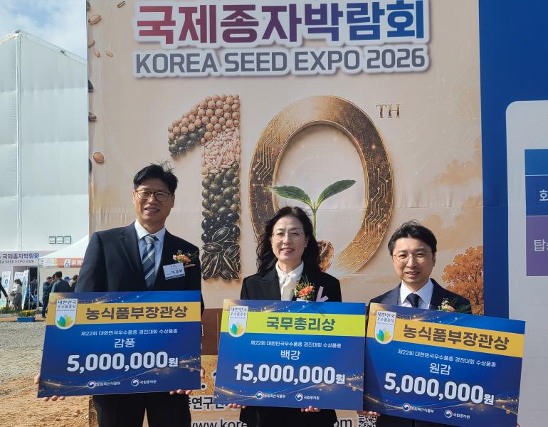 농촌진흥청 개발 ‘국화’, ‘단감’, ‘감초’ 대한민국 우수 품종 선정