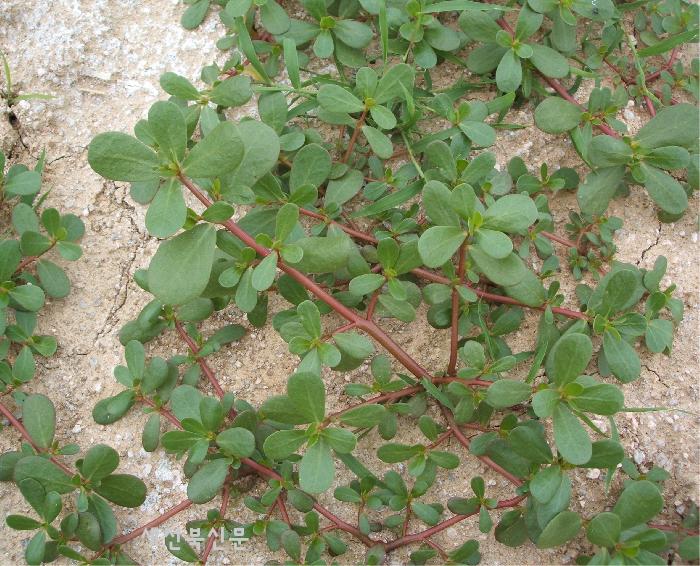 기사 대표 이미지