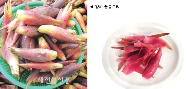 기사 대표 이미지