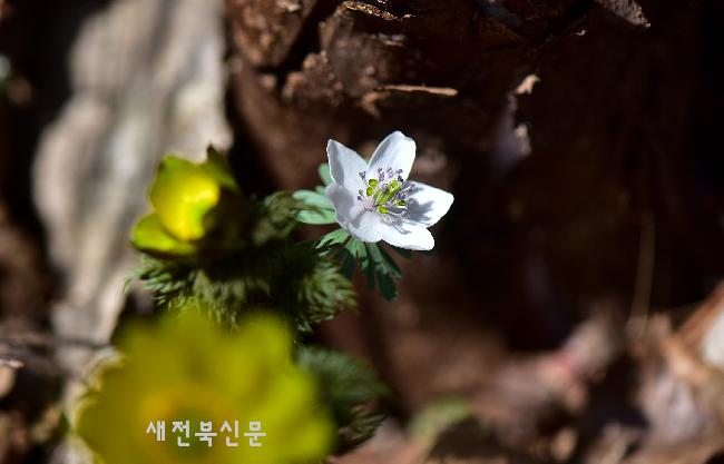 기사 대표 이미지