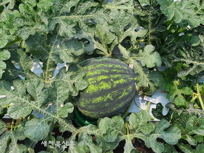 기사 대표 이미지