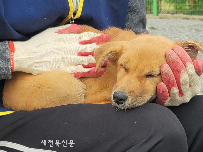 기사 대표 이미지