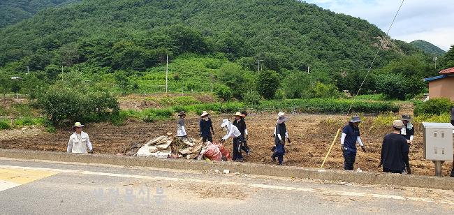 기사 대표 이미지