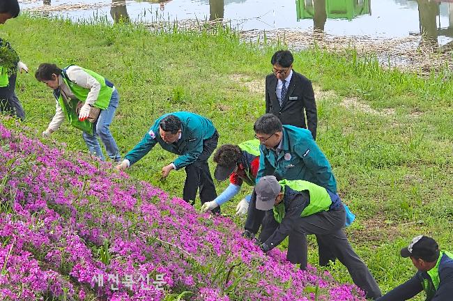 환경오염으로 외면받던 양지천 자연친화적 하천으로 