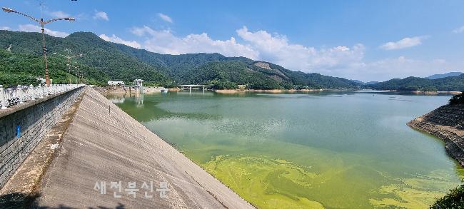 기사 대표 이미지