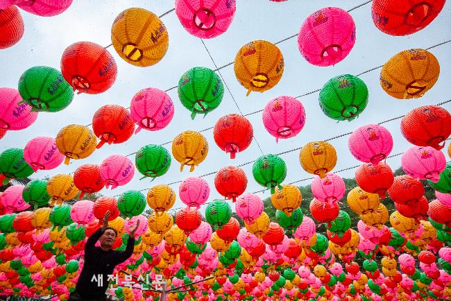 부처님 자비가 온 세상을 밝히기를  