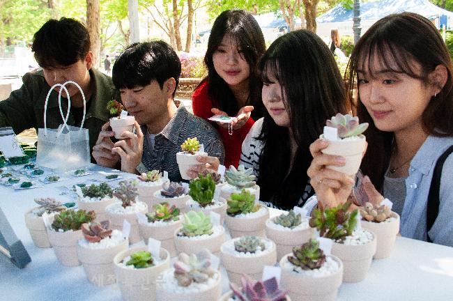 4H 동아리 미니선인장 인기 좋아요 