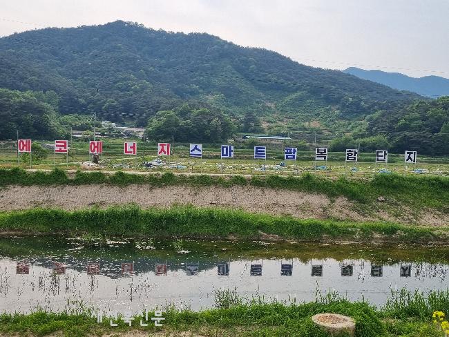 기사 대표 이미지