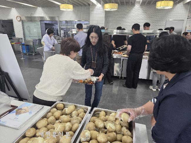 기사 대표 이미지