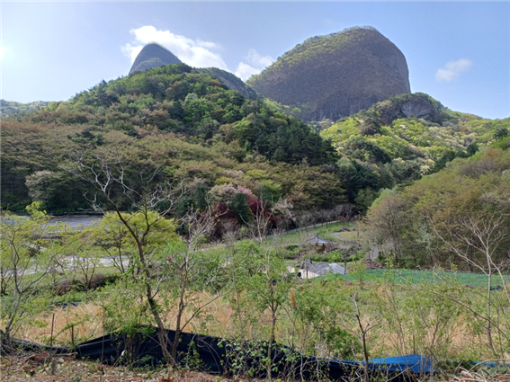 정년 퇴임후 고향서 나무 키우기 ‘인생 2막’             