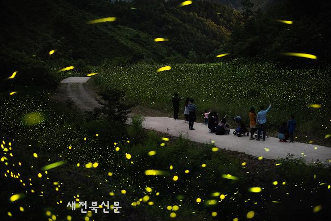 자연과 사람의 공존…  자연특별시 무주로 힐링여행  
