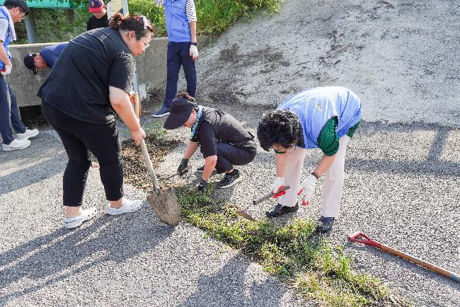 기사 대표 이미지