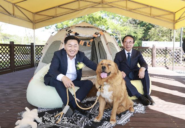 기사 대표 이미지