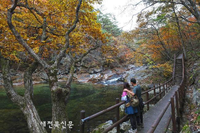 기사 대표 이미지