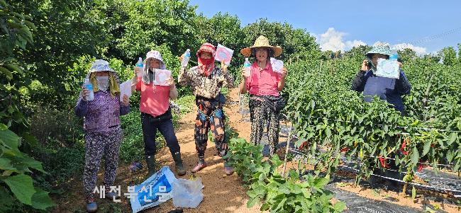 기사 대표 이미지