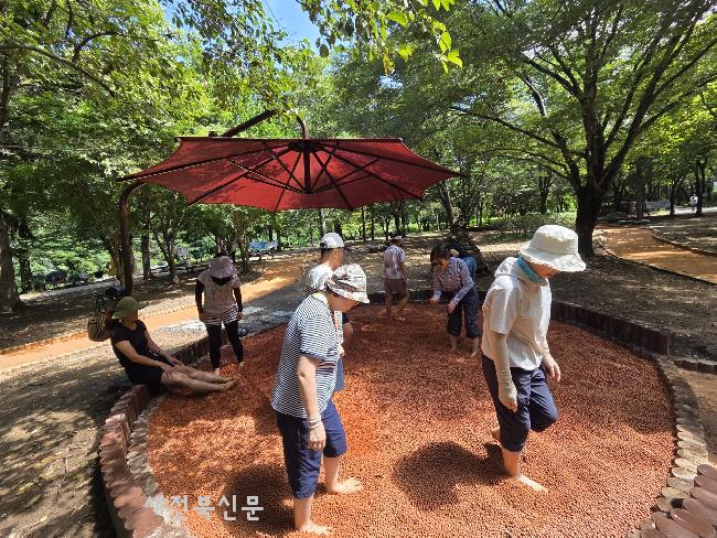 기사 대표 이미지