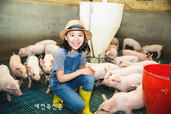 정읍시, 양돈농가에 ‘스마트’ 입힌다. 농 식품부 공모사업 선정 쾌거