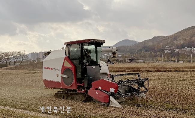임실군, 논콩 수확 농작업 대행…전량 완료 
