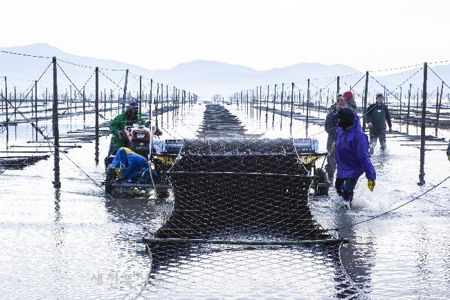기사 대표 이미지