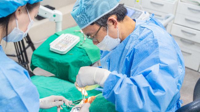 임플란트 시술 성공률 좌우하는 치조골이식, 왜 선행 치료가 중요할까