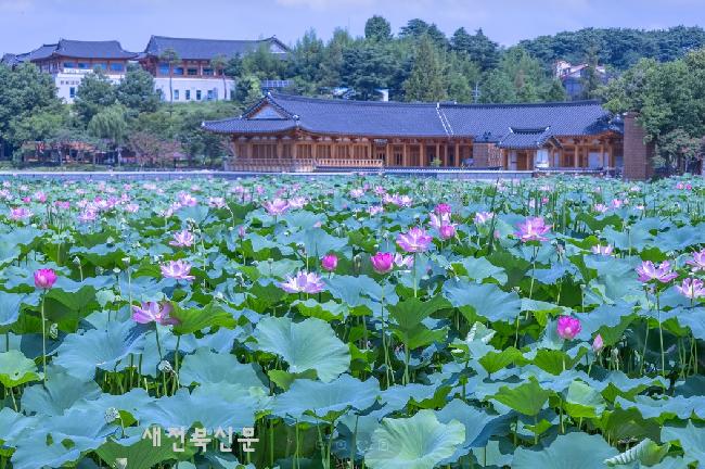 새단장 마친 덕진공원 새해 ‘활짝’      